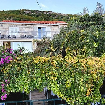 Tranquility And Nature In 4 Bedroom With Sea View Mokosica Exterior photo
