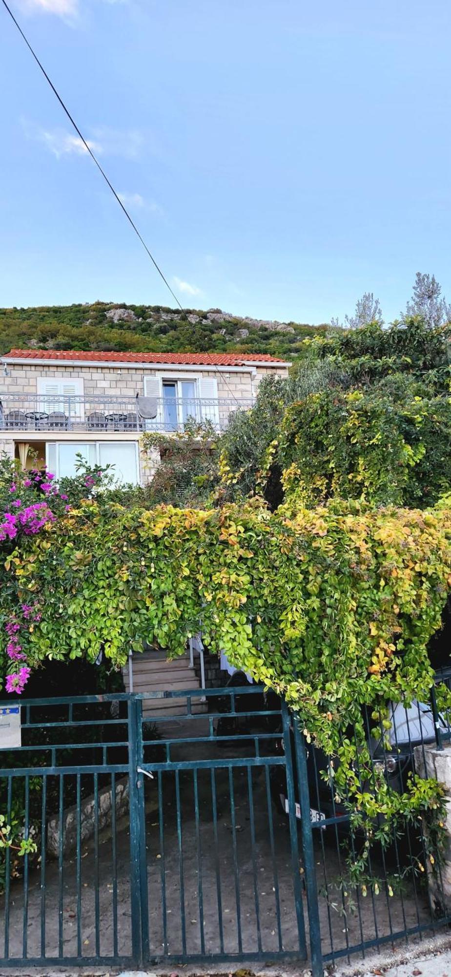 Tranquility And Nature In 4 Bedroom With Sea View Mokosica Exterior photo