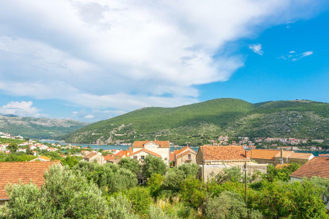 Tranquility And Nature In 4 Bedroom With Sea View Mokosica Exterior photo